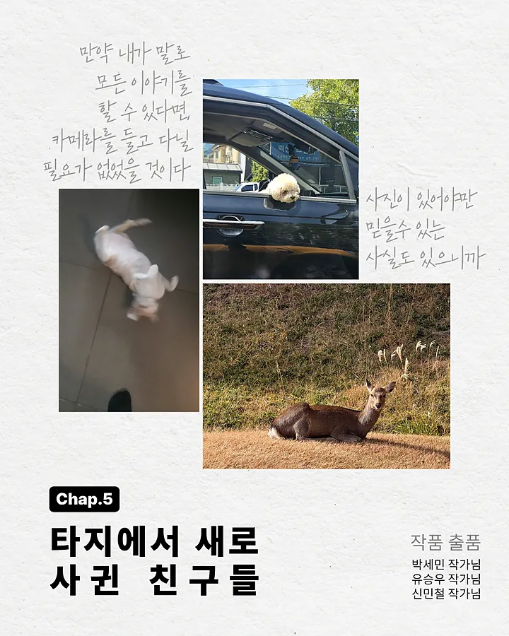 소재 사진 공모전 찰카학
