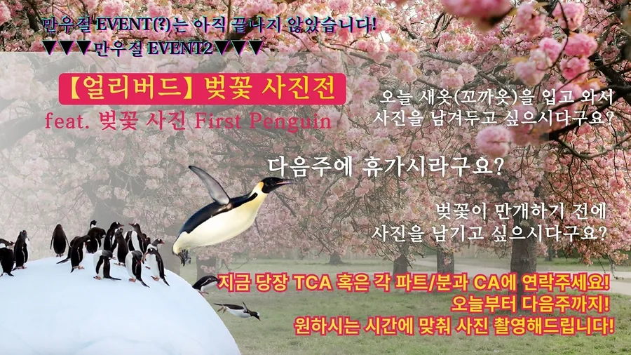 만우절 이벤트